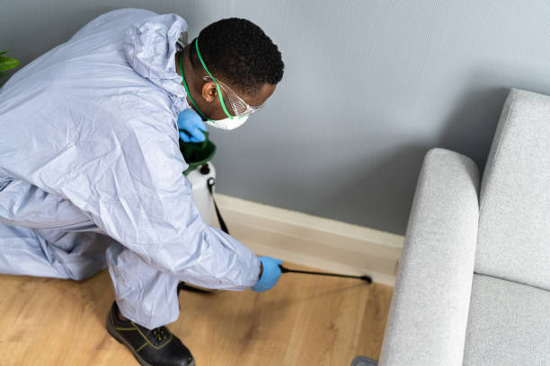 Best Pest Exclusion Services  in Dumas, TX